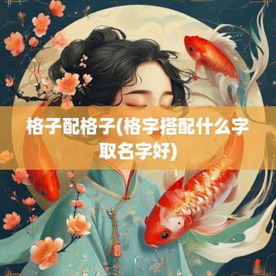 格子配格子(格字搭配什么字取名字好)