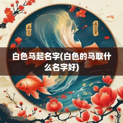 白色马起名字(白色的马取什么名字好)