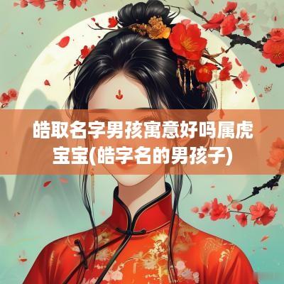 皓取名字男孩寓意好吗属虎宝宝(皓字名的男孩子)