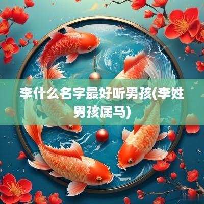 李什么名字最好听男孩(李姓男孩属马)