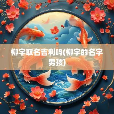 柳字取名吉利吗(柳字的名字男孩)