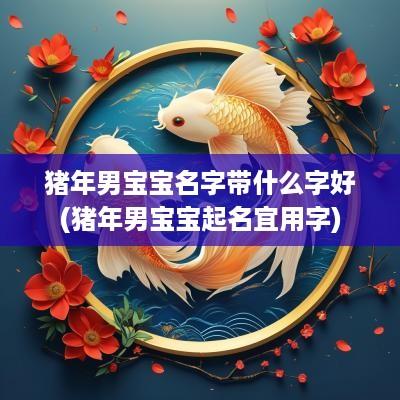 猪年男宝宝名字带什么字好(猪年男宝宝起名宜用字)