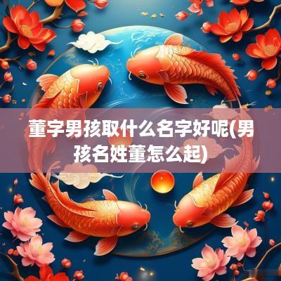 董字男孩取什么名字好呢(男孩名姓董怎么起)