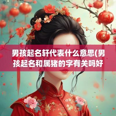 男孩起名轩代表什么意思(男孩起名和属猪的字有关吗好吗)