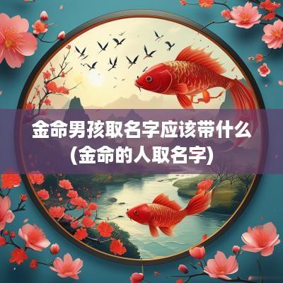 金命男孩取名字应该带什么(金命的人取名字)