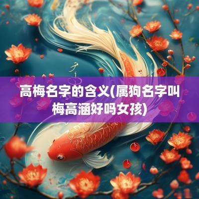 高梅名字的含义(属狗名字叫梅高涵好吗女孩)