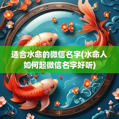 适合水命的微信名字(水命人如何起微信名字好听)