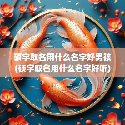 硕字取名用什么名字好男孩(硕字取名用什么名字好听)