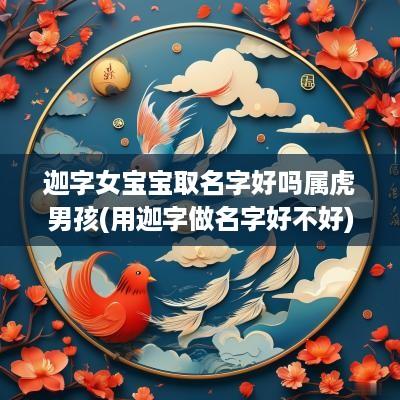 迦字女宝宝取名字好吗属虎男孩(用迦字做名字好不好)