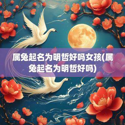 属兔起名为明哲好吗女孩(属兔起名为明哲好吗)