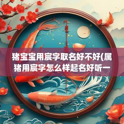 猪宝宝用宸字取名好不好(属猪用宸字怎么样起名好听一点)