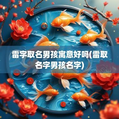 雷字取名男孩寓意好吗(雷取名字男孩名字)