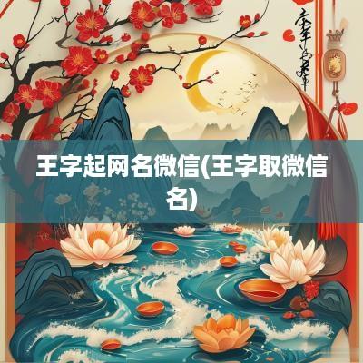 王字起网名微信(王字取微信名)