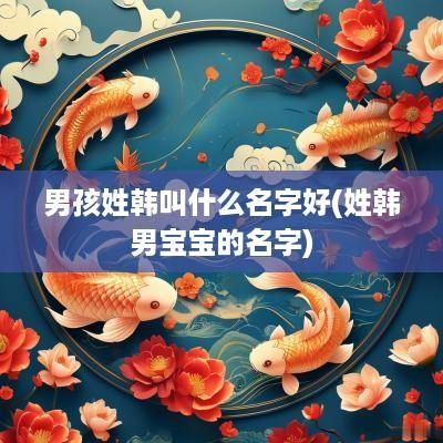 男孩姓韩叫什么名字好(姓韩男宝宝的名字)