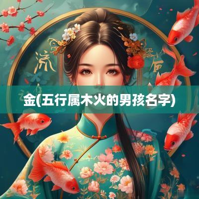 金(五行属木火的男孩名字)
