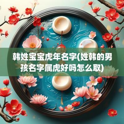 韩姓宝宝蛇年名字(姓韩的男孩名字属虎好吗怎么取)
