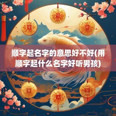 顺字起名字的意思好不好(用顺字起什么名字好听男孩)