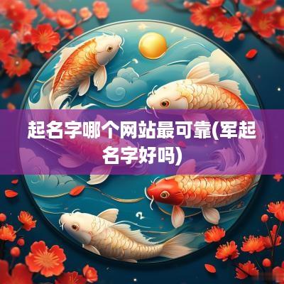 起名字哪个网站最可靠(军起名字好吗)