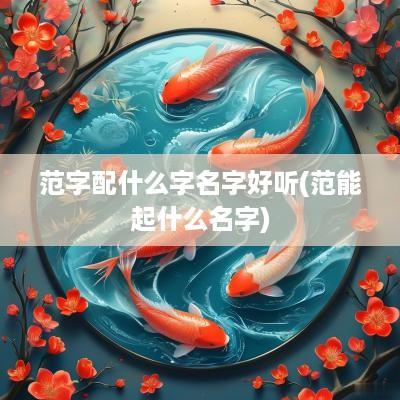 范字配什么字名字好听(范能起什么名字)