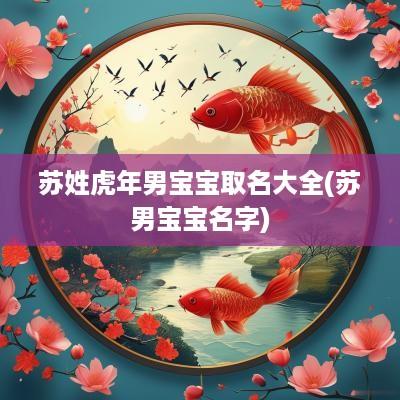 苏姓蛇年男宝宝取名大全(苏男宝宝名字)