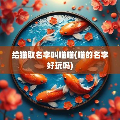 给猫取名字叫喵喵(喵的名字好玩吗)