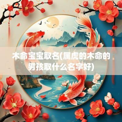 木命宝宝取名(属虎的木命的男孩取什么名字好)