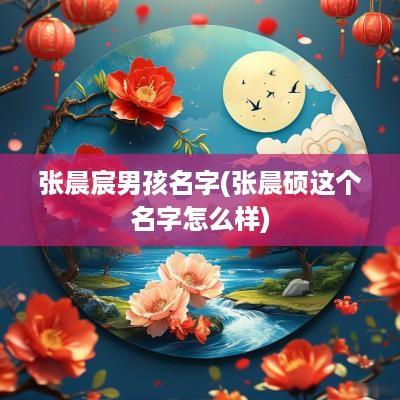 张晨宸男孩名字(张晨硕这个名字怎么样)