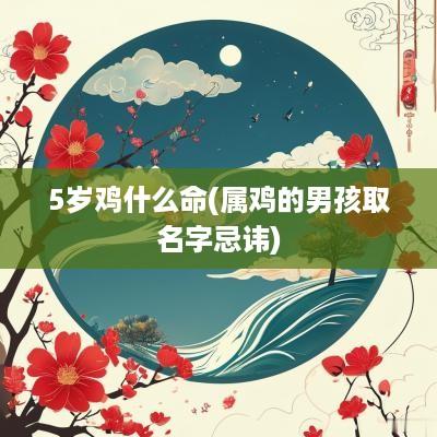 5岁鸡什么命(属鸡的男孩取名字忌讳)
