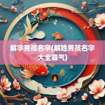 解字男孩名字(解姓男孩名字大全霸气)