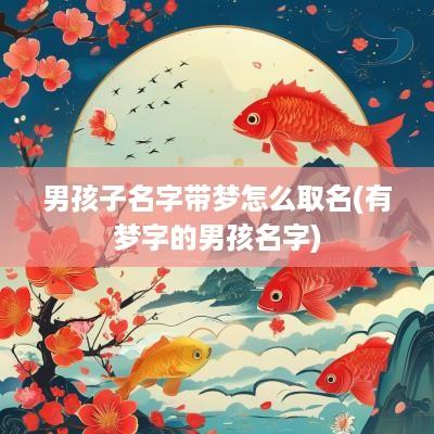 男孩子名字带梦怎么取名(有梦字的男孩名字)