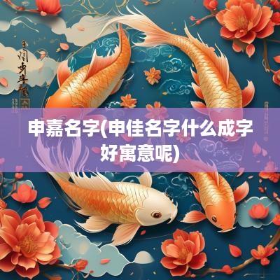 申嘉名字(申佳名字什么成字好寓意呢)