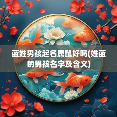 蓝姓男孩起名属鼠好吗(姓蓝的男孩名字及含义)