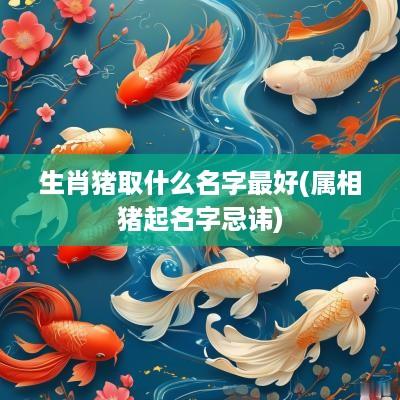 生肖猪取什么名字最好(属相猪起名字忌讳)
