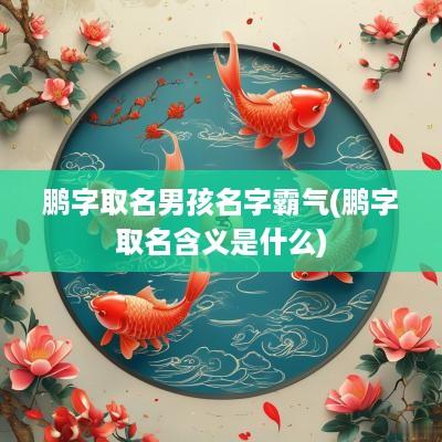 鹏字取名男孩名字霸气(鹏字取名含义是什么)