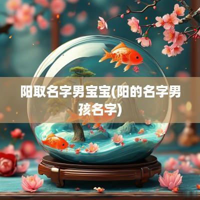 阳取名字男宝宝(阳的名字男孩名字)