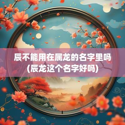 辰不能用在属龙的名字里吗(辰龙这个名字好吗)