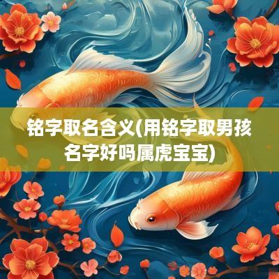 铭字取名含义(用铭字取男孩名字好吗属虎宝宝)