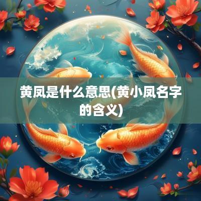黄凤是什么意思(黄小凤名字的含义)