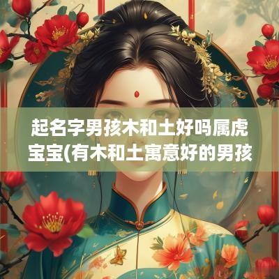起名字男孩木和土好吗属虎宝宝(有木和土寓意好的男孩名字)