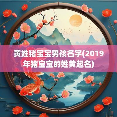 黄姓猪宝宝男孩名字(2019年猪宝宝的姓黄起名)