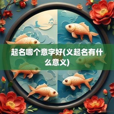 起名哪个意字好(义起名有什么意义)