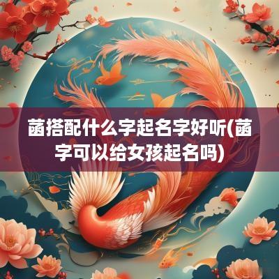 菡搭配什么字起名字好听(菡字可以给女孩起名吗)