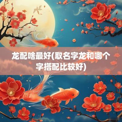 龙配啥最好(取名字龙和哪个字搭配比较好)