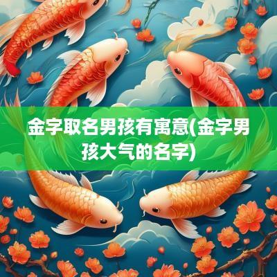 金字取名男孩有寓意(金字男孩大气的名字)