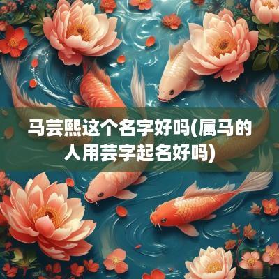 马芸熙这个名字好吗(属马的人用芸字起名好吗)