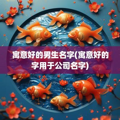 寓意好的男生名字(寓意好的字用于公司名字)