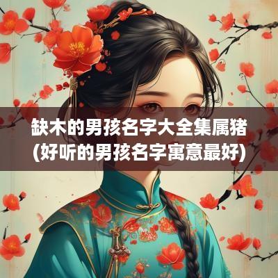 缺木的男孩名字大全集属猪(好听的男孩名字寓意最好)