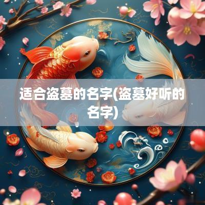适合盗墓的名字(盗墓好听的名字)
