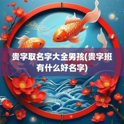 贵字取名字大全男孩(贵字班有什么好名字)