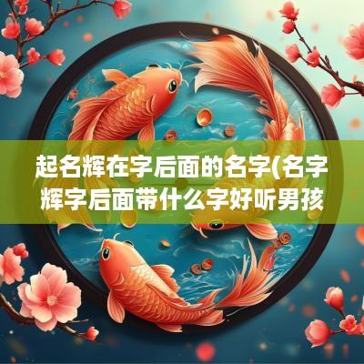 起名辉在字后面的名字(名字辉字后面带什么字好听男孩)